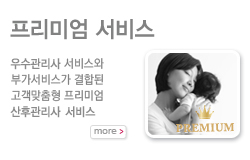 프리미엄서비스