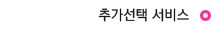 추가선택 서비스